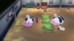 STORY OF SEASONS: Grand Bazaar (Switch 2)