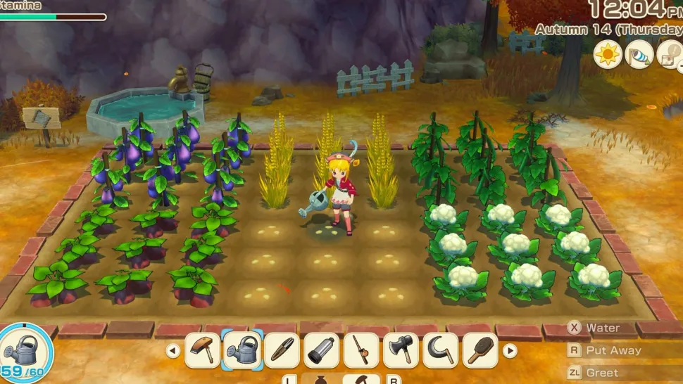 STORY OF SEASONS: Grand Bazaar (Switch)