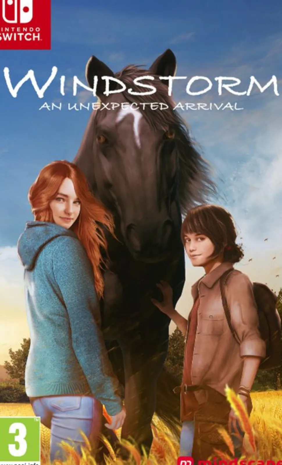 Windstorm: An Unexpected Arrival (Switch)